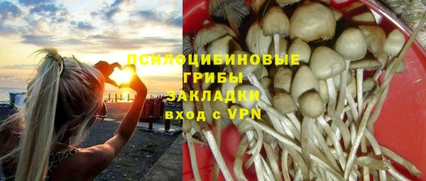мяу мяу кристалл Иннополис