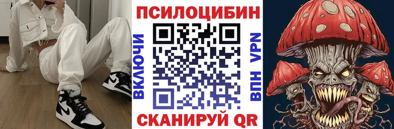 Купить  Алейск  Псилоцибиновые грибы Cubensis 